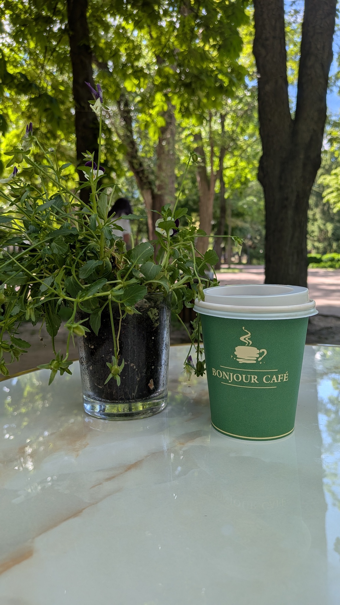 A coffee cup from Bonjour Café on a table surrounded by greenery and fairy lights in Stephen the Great Central Park, Chisinau